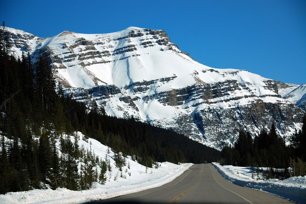 23 Noseeum Peak From Icefields Parkway